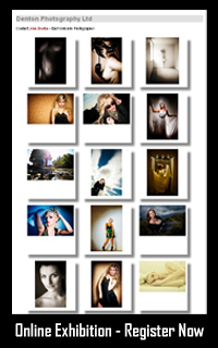 professional imagemaker logo